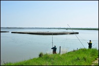 Valli di Comacchio