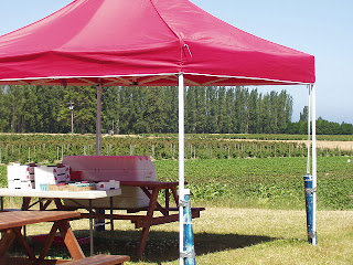 Grausmarsh berry farm in spring