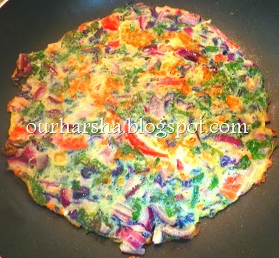 Vegetable Egg Omelet  (6)