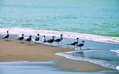 fotos de la playa en casitas y costa esmeralda veracruz