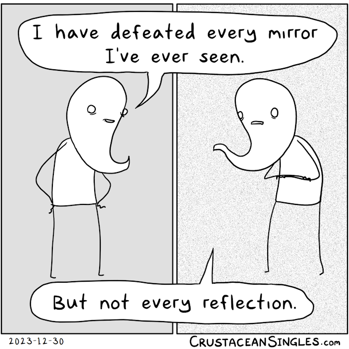 The image is divided into two tall vertical panels. On the left, Grambo stands confidently with hands on hips facing right and says, "I have defeated every mirror I've ever seen." Facing left in the right panel, a near-mirror image folds arms and has a sterner expression, saying, "But not every reflection." Both speech bubbles cross the borders of either vertical panel. The left panel is flat grey while the right panel is full of black and white static noise.