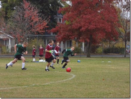fall2012 027