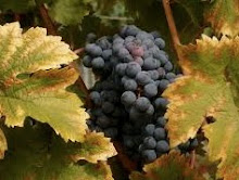 Le  Médoc