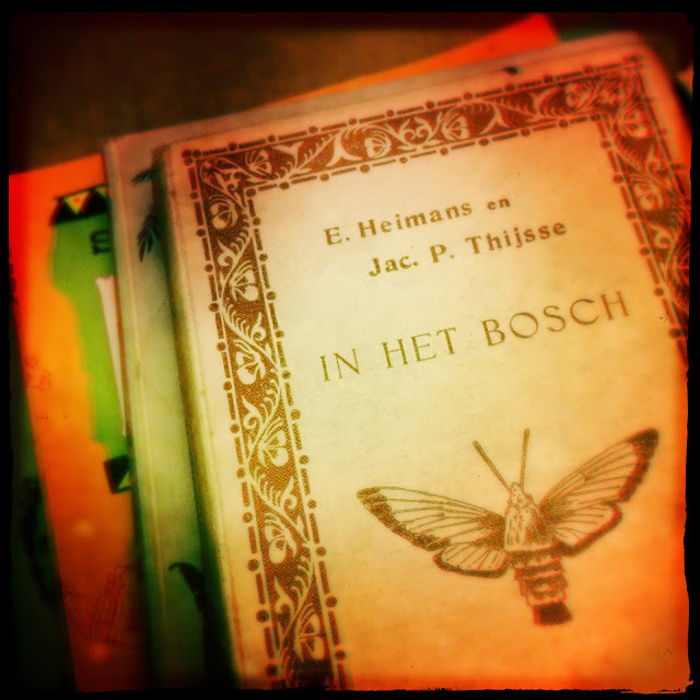 Stapeltje boeken. Bovenop: 'In het bosch' door Heimans en Thijsse. Hipstamatic: John S + Cinametheque. Foto: Robert van der Kroft
