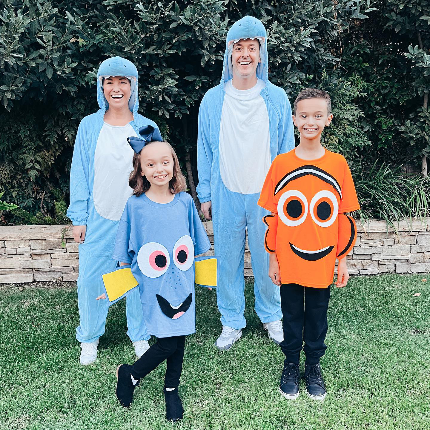 Nemo and Dory Halloween Costume  Disney halloween costumes, Duo