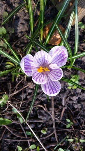 20150319_153947