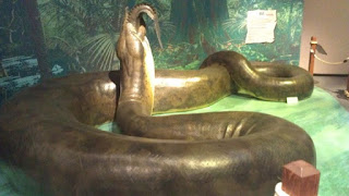 In America Meridionale, circa 60 milioni di anni fa, è vissuto il Titanoboa