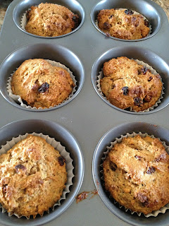 Honey Yogurt Bran Muffins