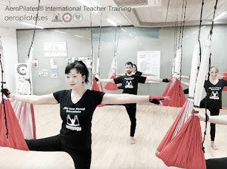 yoga, aeroyoga, barcelona, aerial yoga, yoga aereo, body, soul, columpio, hamaca, trapeze, españa, teacher training, formacion, cursos, clases, wellness, fly, flying