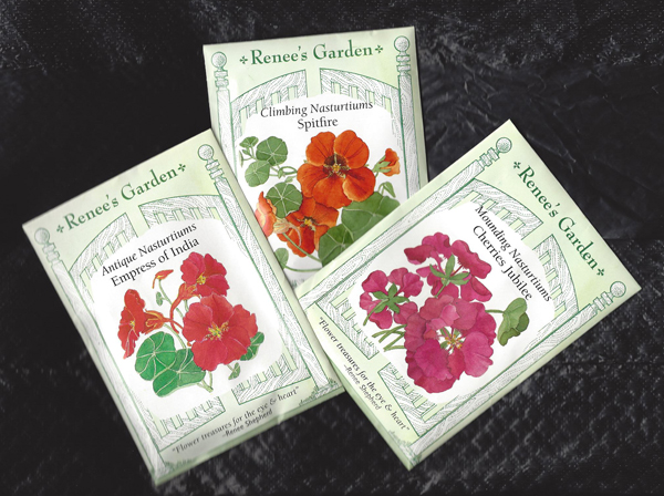 types of flowers easy to grow Nasturtium Colors | 600 x 448