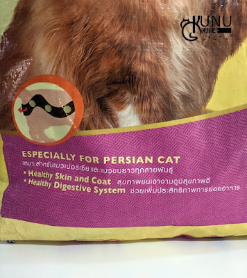 Makanan Kucing untuk Kucing Persia