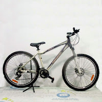 26x17 forward damiano 3x7sp mtb