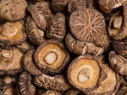 Dried Mushroom Supplier In Mohol