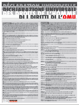 70 ans de la DUDH - Affiche bilingue réalisée par la section