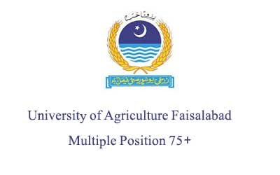University of Agriculture Faisalabad Latest Jobs 2020 for 75 Posts