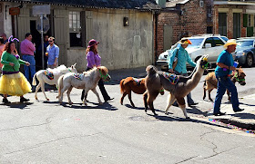 Wanderlusting in New Orleans, Spring 2014