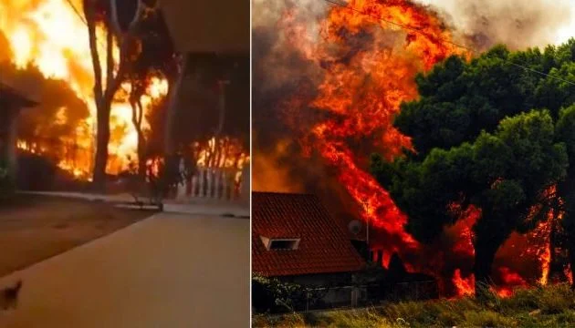 Πήγε να σώσει τη γάτα του και τράβηξε αυτό το απίστευτο βίντεο-Ανατριχίλα (βίντεο)