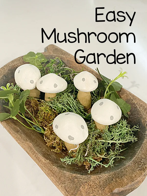 mushroom garden and overlay