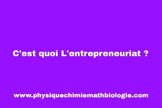 C'est quoi L'entrepreneuriat ?