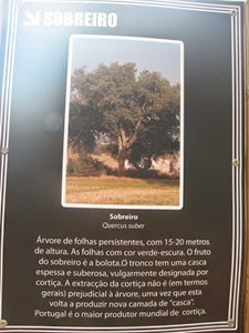 Fluviário 2 017