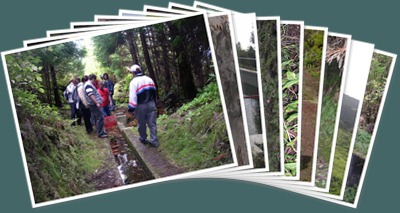 Ver Circuito da Levada - Fotos de algumas actividades já realizadas
