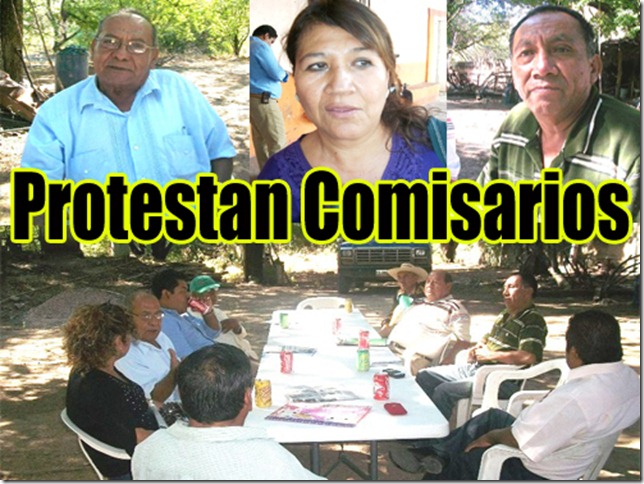Comisarios