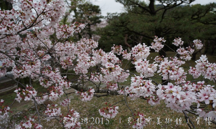 DSC03112