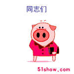 Pigs