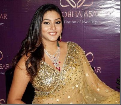 Namitha sexy kollywood actress pictures110410
