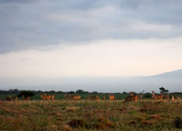 4 Padang Savana  Terindah di Indonesia unikgaul