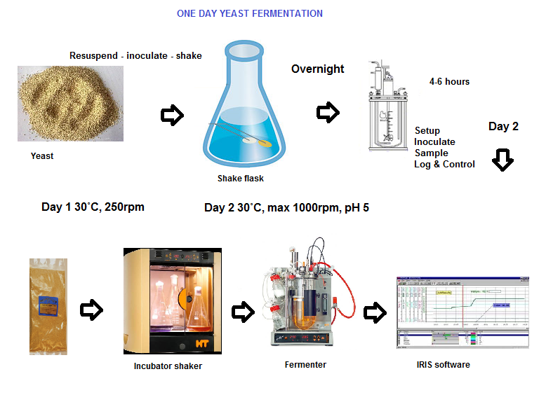 The Life & Times Of Mr. Bioreactor: Overview of our experiment - Flow