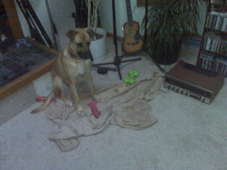 My baby girl and her toys