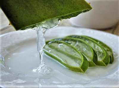 10 Health Benefits of Aloe Vera