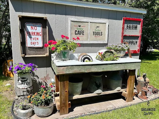 Photo of junk garden shed plantings and decor.