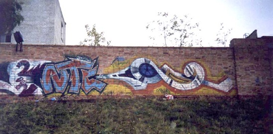 31