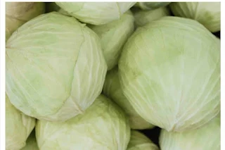 मधुमेह के रोगियों को कौन-कौन सी सब्जियां खानी चाहिए?Best Vegetables For Diabetes Patient in Hindi