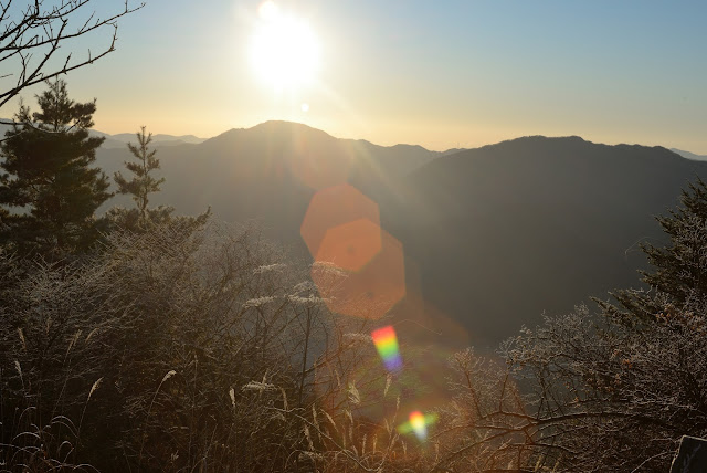 三つ峠 元旦 霧氷