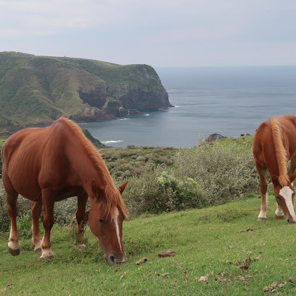Blown Away at the Kuniga Coastline