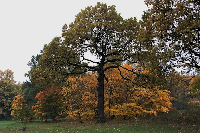 Ботанический сад | Botanical Garden