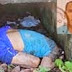 Biólogo é assassinado e jogado dentro de sepultura em Oriximiná