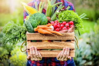 10 Tips Cara Memilih Sayuran yang Baik dan Segar