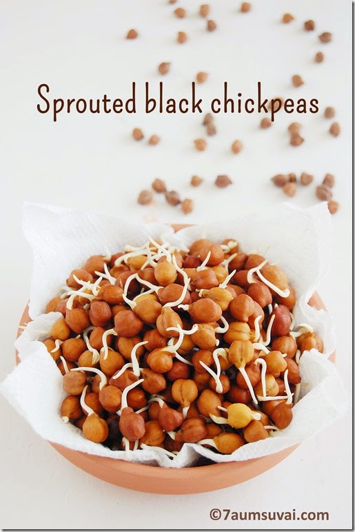 Sprouted black chickpea 