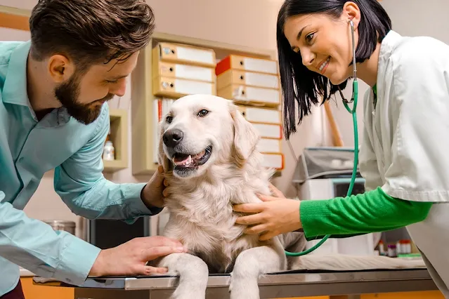 Pet Health Care and Wellness