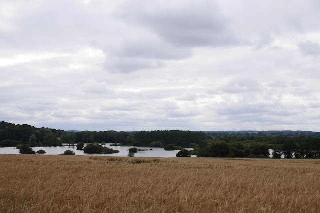 La vilaine débord en juin, et alimente le marais...