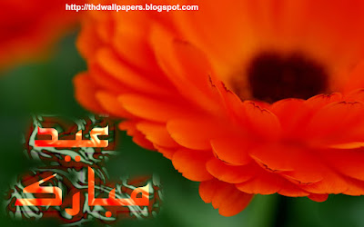 Eid Ul Zuha Adha Mubarak 2012 Flowers Card HD Wallpapers Urdu Text 003 Widescreen Jpg Format