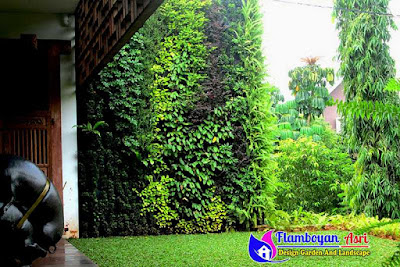 Manfaat Dan Fungsi Taman Vertikal (Vertical Garden)