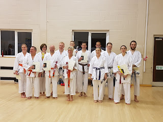 biggleswade adults karate