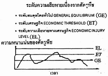 ระดับสมดุลโดยทั่วไป ระดับเศรษฐกิจ และระดับความเสียหายทางเศรษฐกิจ ของศัตรูพืช