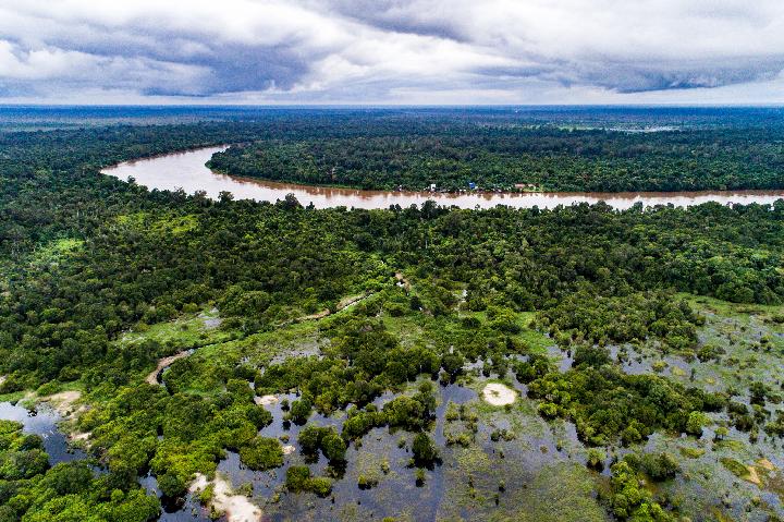 Memanfaatkan Lahan Gambut Untuk Mengurangi Kebakaran Hutan dan Lahan