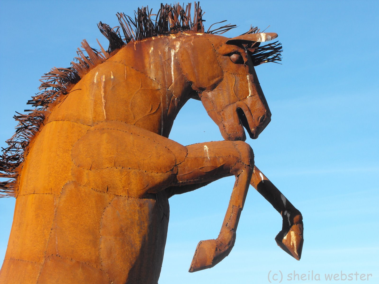 We Love RV'ing Borrego Springs, CA Metal Art Sculptures